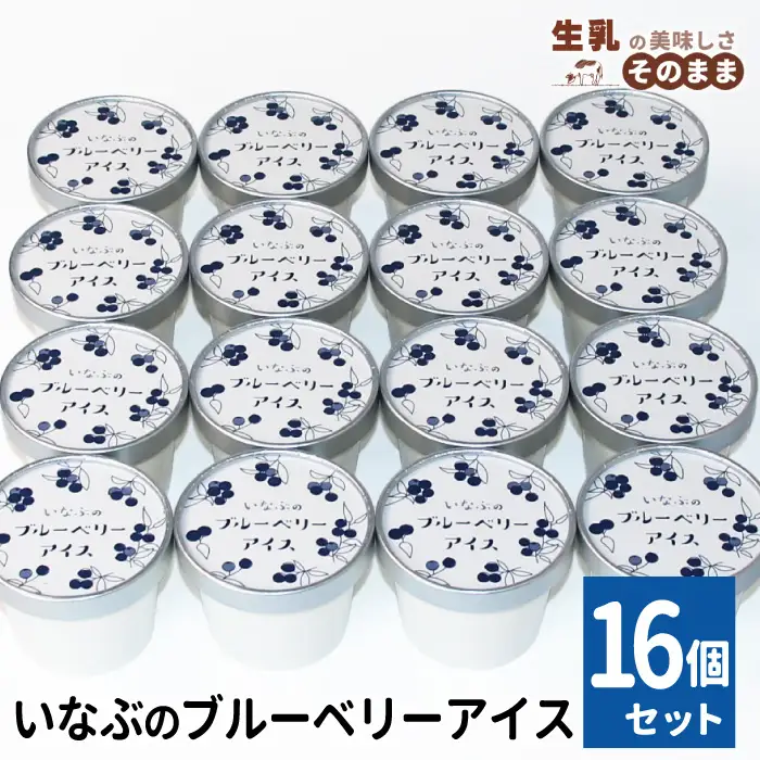 2026年7月1日～寄付金額変更★〈スピード発送〉農薬！除草剤不使用！ブルーベリー アイス16個入り アイスクリーム ブルーベリー 
