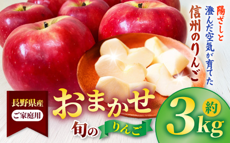 信州高遠町産 ご家庭用 りんご 約3kg 品種 おまかせ 【009-42】