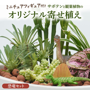 サボテンと観葉植物のオリジナル寄せ植え【恐竜セット】[133O05] 本格サボテン 産地直送サボテン フィギュア付き インテリア サボテンギフト プレゼント オシャレ かわいい サボテン寄せ植え オリジナルサボテン 人気サボテン 多肉植物 