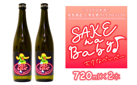日本酒 SAKE na Baby 720ml×2本【 日本酒 酒 若宮酒造 贈り物 国産 プレゼント ギフト 贈答 こだわり 特産品 オリジナル 綾部 京都 】