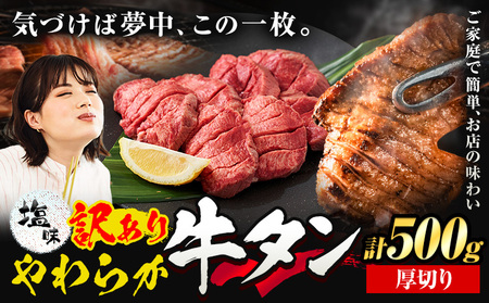 牛タン 厚切り 塩味 500g 焼肉 牛タン
