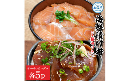 土佐の海鮮漬け丼（サーモン・まぐろ）各5袋セット 1パック60g 漬け丼 海鮮丼 マグロ丼 サーモン丼 鮪 まぐろ おかず おつまみ 惣菜 魚介類 海鮮 個包装 小分け【企業組合　宇佐もん工房】 [BQAB042]