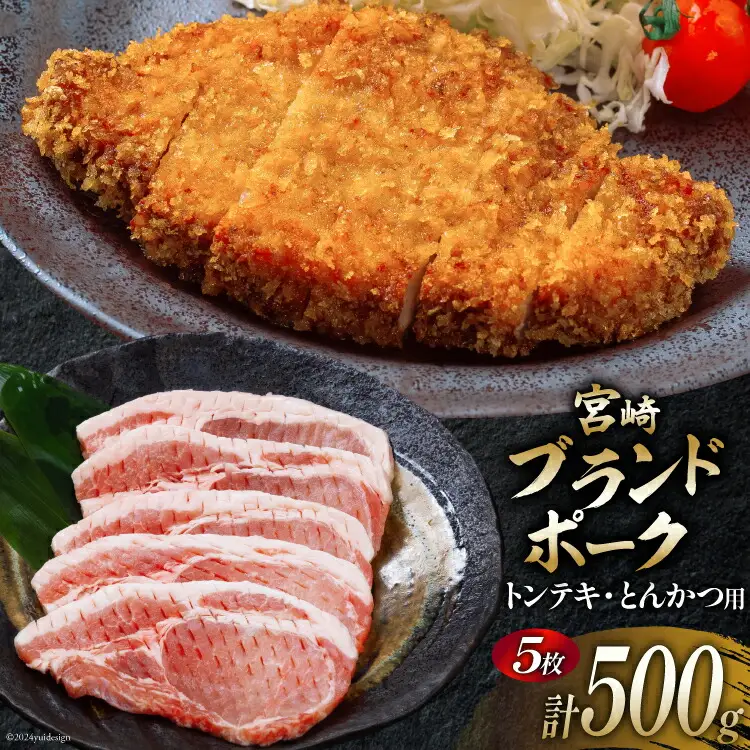 豚肉 小分け 宮崎ブランドポーク ロース トンテキ とんかつ カット 100g ×5枚 500g [ウィズ・クリエイティブ 宮崎県 日向市 452060770]