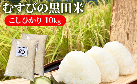 むすびの黒田米 こしひかり 10キロ [ 米 お米 10kg 5kg×2袋 コシヒカリ お弁当 おむすび 冷めても美味しい ]