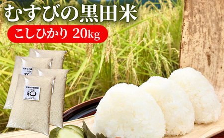 むすびの黒田米 こしひかり 20キロ [ 米 お米 20kg 5kg×4袋 コシヒカリ お弁当 おむすび 冷めても美味しい ]