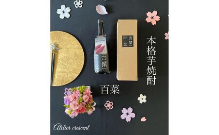 本格芋焼酎 百菜 720ml 1本 [ さつまいも サツマイモ 芋焼酎 焼酎 お酒 酒 ] 