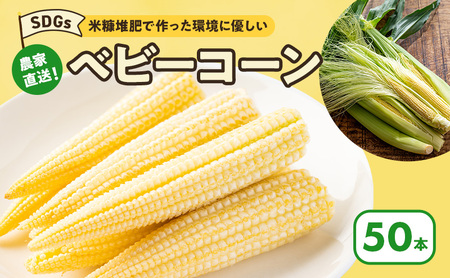 ベビーコーン 農家直送！SDGs米糠堆肥で作った環境に優しい ベビーコーン 50本 /酒見農産/ べびーこーん ※配送不可：離島