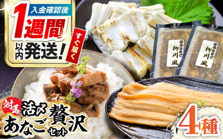 【1週間以内発送】対馬産 あなご 贅沢 セット [WAC002] 穴子ぜいたくセットアナゴ スピード発送 最速発送 最短発送