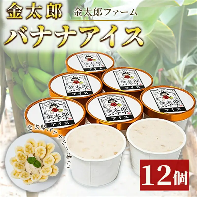 金太郎バナナアイス（12個） 栽培期間中農薬不使用 【国産 ギフト プレゼント 贈り物 お返し おいしい 果物 くだもの フルーツ お歳暮 お中元 】