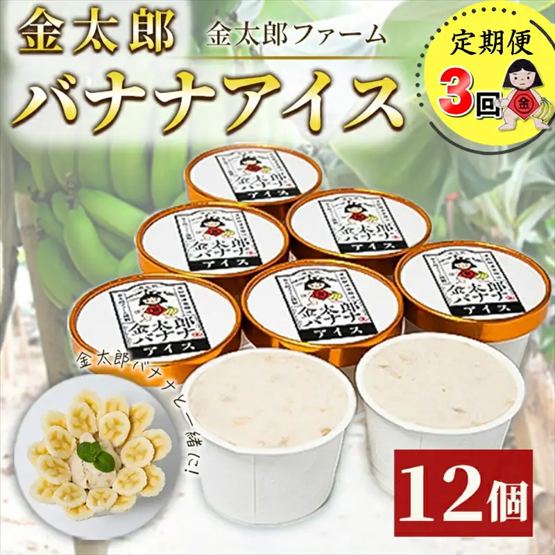 定期便：金太郎バナナアイス（36個）：12個×3回（毎月お届け） 毎栽培期間中農薬不使用  【国産 ギフト プレゼント 贈り物 お返し おいしい 果物 くだもの フルーツ お歳暮 お中元 】
