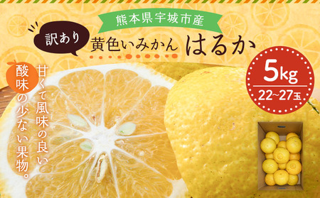 訳あり みかん はるか 約5kg (22玉～27玉)【2026年2月上旬～2026年6月下旬発送】