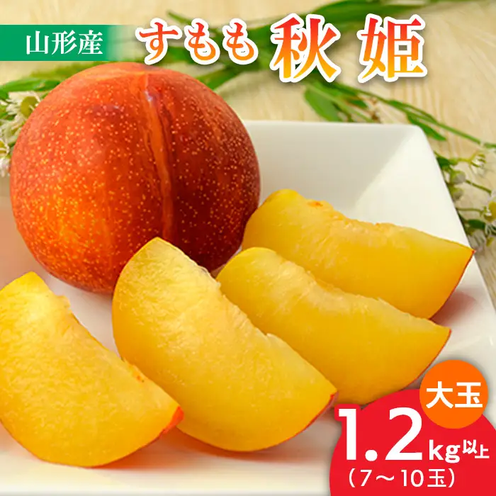 山形のすもも[秋姫]大玉 1.2kg以上(7～10玉)【令和8年産先行予約】FU22-800 くだもの 果物 フルーツ 山形 山形県 山形市 2026年産