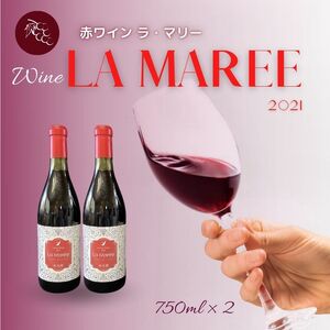 果実味あふれる赤ワイン ラ・マリー2021 750ml  2本 ブドウ 赤ワイン 新潟県 糸魚川 あぐりいといがわ 糸魚川農業興舎 汐路ブドウ園 メルロー 山ぶどう ワイン 酒 ライトボディ クリスマス お正月 christmas