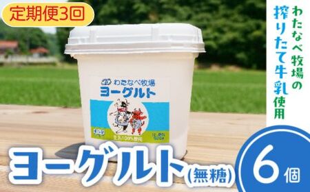 【定期便3回】ヨーグルト500ｇ（プレーン）6個セット／ 無糖 ネッカ牛乳 ノンホモ製法 セット 搾りたて 栄養 こだわり おやつ デザート 朝食 スイーツ 自然派 化学合成物質不使用 安心 乳製品 乳酸菌 腸活 健康 定期便 島根県 安来市