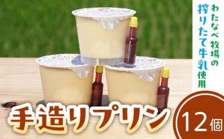 手造りプリン12個セット／ 冷蔵 ネッカ牛乳 ネッカ卵 蒸しプリン ソース別 素朴 デザート スイーツ おやつ グルメ ご褒美 新鮮 生乳 搾りたて 自然派 島根県 安来市