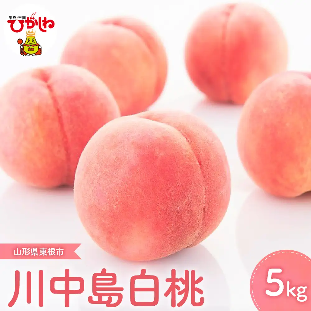 【2026年産】川中島 白桃 5kg 白桃