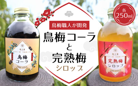 烏梅コーラと完熟梅シロップのセット 梅古庵 17-004 コーラ 梅 シロップ