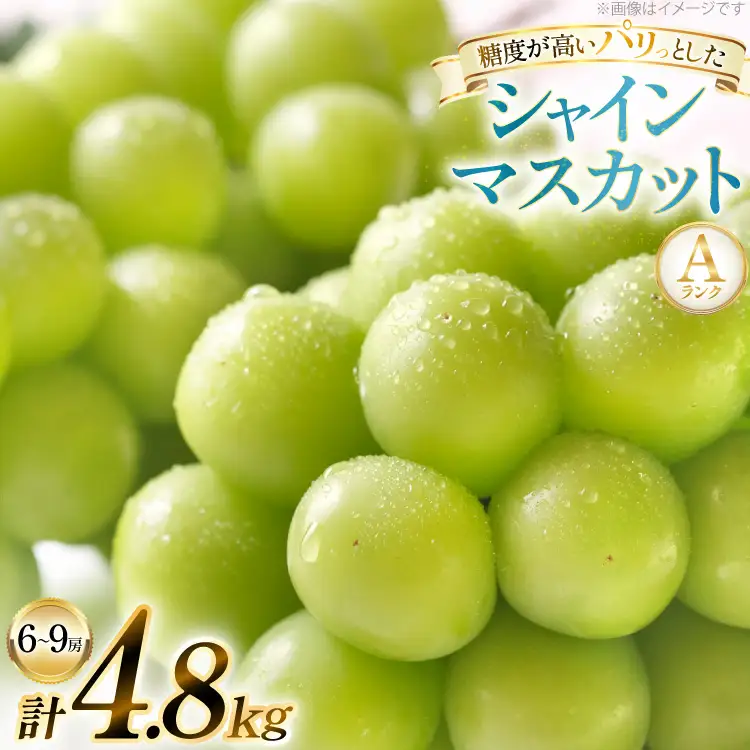 【期間限定発送】 シャインマスカット Aランク 6～9房 4.8kg [田制農園 山形県 高畠町 tk06ayt230004]