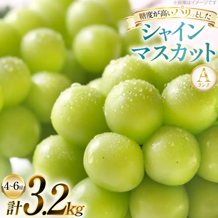【期間限定発送】 シャインマスカット Aランク 4～6房 3.2kg [田制農園 山形県 高畠町 tk06ayt230003]