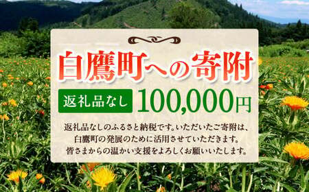 白鷹町への寄附（返礼品はありません） 100,000円 山形県 白鷹町 返礼品なし