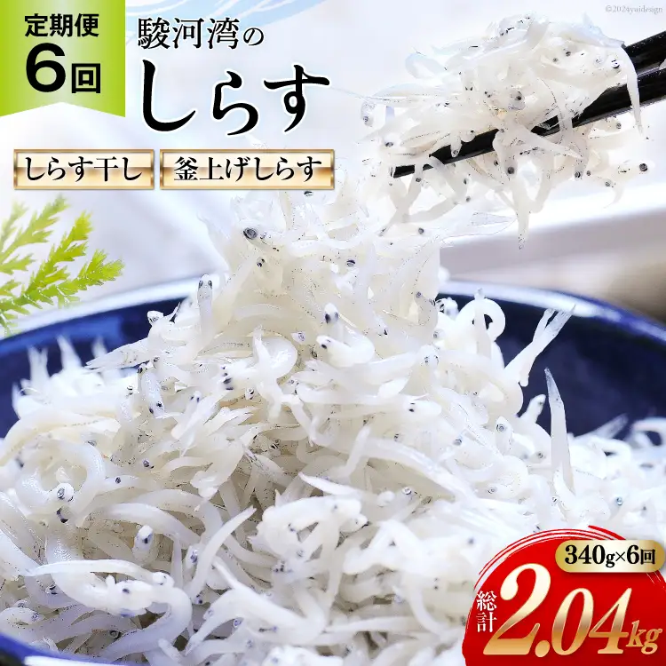 6回 定期便 駿河湾産 しらす干し 100g×1 釜上げしらす 120g×2 計3パック [マルあ水産 静岡県 吉田町 22424641]
