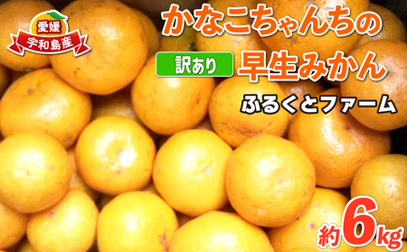 訳あり 早生 6kg ふるくとファーム 先行予約 かなこちゃんち 果物 くだもの フルーツ 柑橘 みかん 蜜柑 mikan ビタミンC たっぷり 愛媛ミカン 愛媛蜜柑 愛媛みかん 農家直送 産地直送 数量限定 国産 愛媛 宇和島 B010-037004