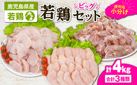 2648 若鶏4kgビッグセット KN105-001-02 肉 鶏肉 冷凍