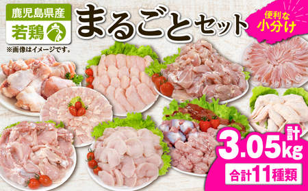 2649 若鶏まるごと3.05kgセット KN105-006 肉 鶏肉 冷凍