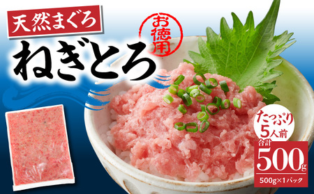 ＜選べる配送月＞【 神奈川県 漁連 】 ＜ お徳用 ＞  天然 まぐろ ねぎとろ 500g M077-011-01 冷凍 マグロ