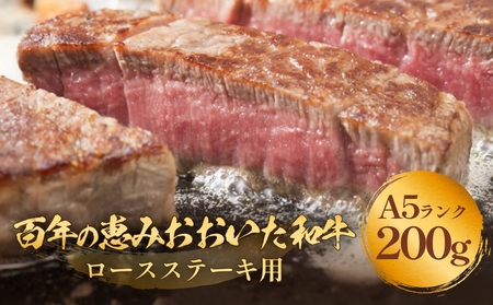 「百年の恵み おおいた和牛 」A5 ロースステーキ用 200g×１枚 おおいた和牛 ロースステーキ A5等級 黒毛和牛 大分県産 牛肉 高級肉 霜降り 和牛ステーキ 風味豊か 脂質 種雄牛 血統 高評価 冷凍