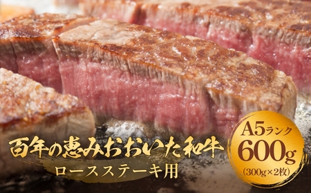 「百年の恵み おおいた和牛 」A5 ロースステーキ用 300g×２枚 黒毛和牛 黒毛 和牛 牛肉 ロース ステーキ おおいた和牛 A5ランク 霜降り 上質 肉産地 九州 大分 トキハインダストリー 玖珠店 高評価 血統 美味しい 風味 良質 肉
