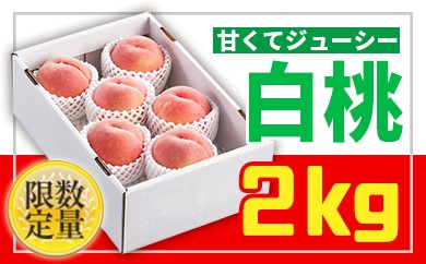 ★フルーツ王国山形★白桃秀品2kg[柔らかくなる桃] 【令和8年産先行予約】 FS25-671 くだもの 果物 フルーツ 山形 山形県 山形市 2026年産