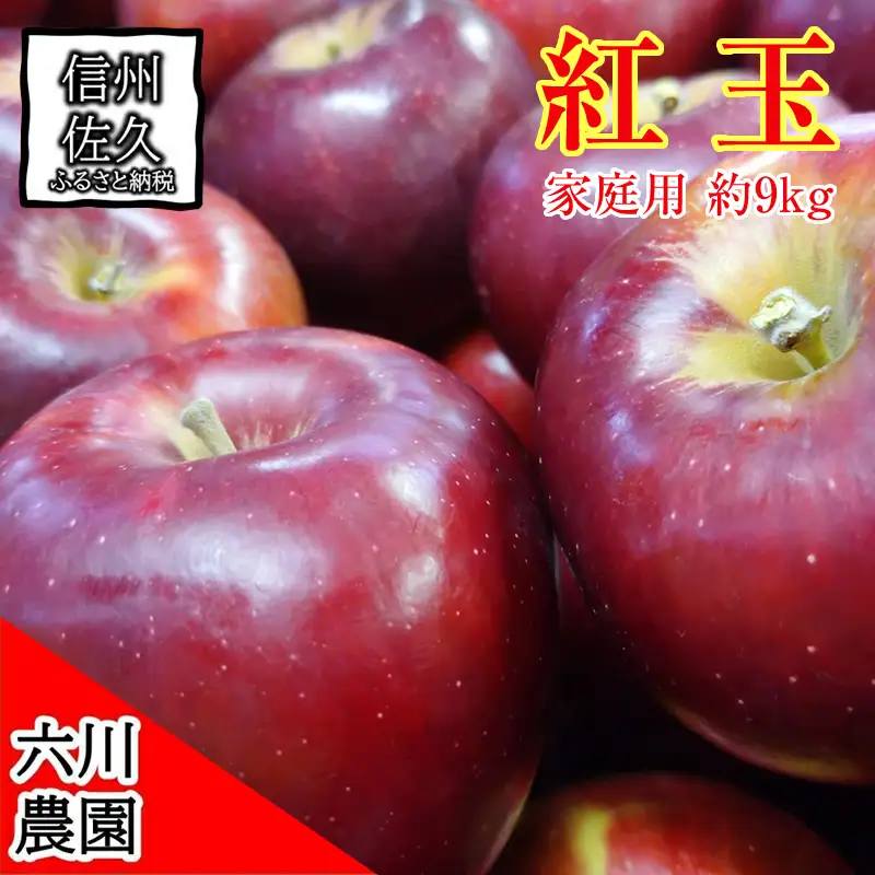 長野県産 紅玉 りんご 家庭用 約9.0kg （36～56玉）〈2026年10月出荷分／北海道・沖縄県・離島は配送不可〉 信州 果物 旬彩 先行予約 季節限定【 当園にて愛情たっぷりに育てたりんご 長野県 佐久市 】