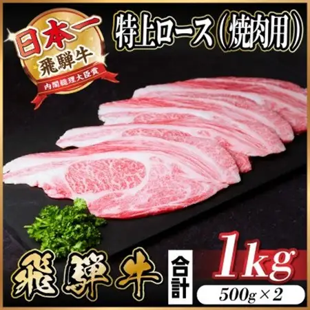 飛騨牛 特上ロース(焼肉・BBQ用) 1kg(500g×2)　A5等級　黒毛和牛 小分け_肉 焼肉 牛肉 やきにく ヤキニク バーベキュー  肉 飛騨牛 牛肉 うし ビーフ_【配送不可地域：離島】【1543793】