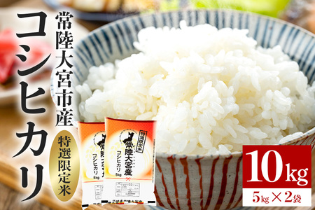 常陸大宮産 コシヒカリ 10kg(5kg×2) こしひかり ブランド米 茨城 【コシヒカリ】【ho1397】