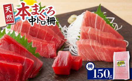 【 入金確認後、7営業日以内に発送予定 または 配送月が選べる 】神奈川県 漁連 天然 本マグロ 中トロサク M077-012-02 冷凍 マグロ