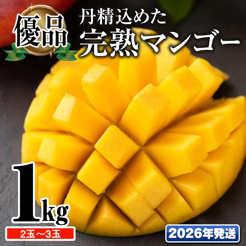 【2026年発送】「優品」丹精込めた完熟マンゴー1kg　2玉～3玉