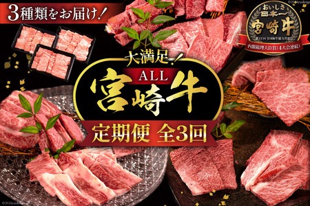 牛肉 定期便 3回 宮崎牛 バラエティAコース 計 1.3kg [ミヤチク 宮崎県 日向市 452061590]