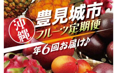 【全6回】人気！沖縄フルーツ定期便 (AC020)