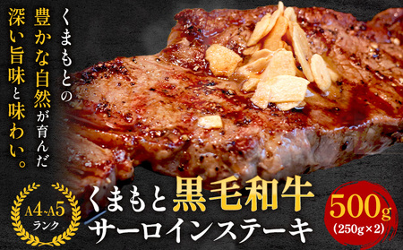【A4～A5】くまもと黒毛和牛 サーロインステーキ 500g《30日以内に出荷予定(土日祝除く)》 牛肉 くまもと黒毛和牛 黒毛和牛 冷凍庫 サーロイン ステーキ st-p