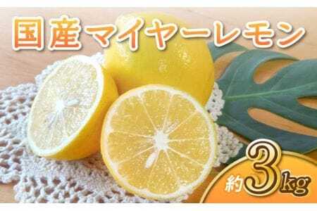 レモン 国産 マイヤーレモン 約3kg 15～20玉 【2025年9月下旬～2026年6月中旬発送】