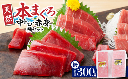 【 入金確認後、7営業日以内に発送予定 または 配送月が選べる 】神奈川県漁連 天然本マグロ 中トロ ・ 赤身 セット　M077-012-03 冷凍 マグロ