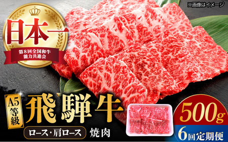 【6回定期便】 飛騨牛 焼肉用 ロース・肩ロース 500g A5等級 [TAZ032]肩ロース 定期便