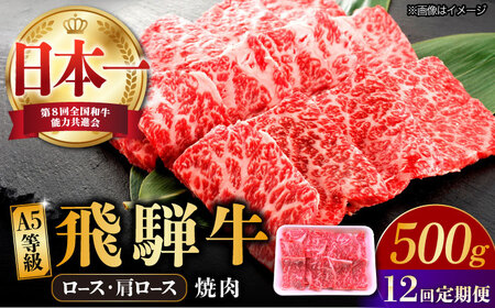 【12回定期便】 飛騨牛 焼肉用 ロース・肩ロース 500g A5等級 多治見市 [TAZ033] 飛騨牛 定期便