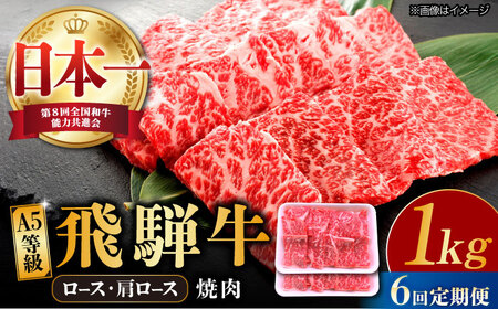 【6回定期便】 飛騨牛 ロース・肩ロース 1kg A5等級 [TAZ036] 肩ロース 焼肉用