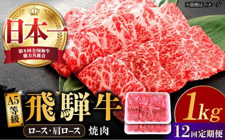 【12回定期便】飛騨牛 焼肉用 ロース・肩ロース 1kg A5等級 [TAZ037] 飛騨牛 焼肉用