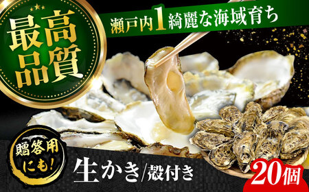 生牡蠣殻付き20個 牡蠣[XBP008]