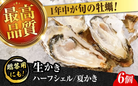 生牡蠣夏かき6個 牡蠣[XBP011]