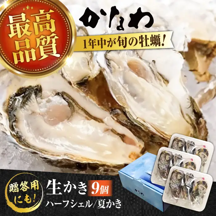 生牡蠣夏かき9個 牡蠣[XBP012]