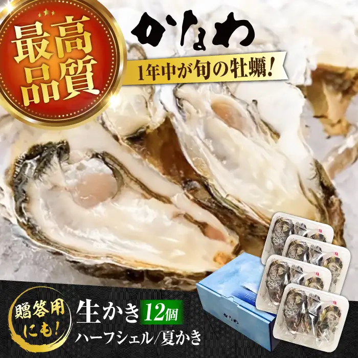 生牡蠣夏かき12個 牡蠣[XBP013]